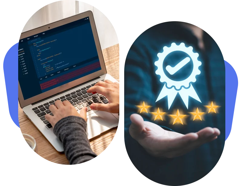 software code audit & review