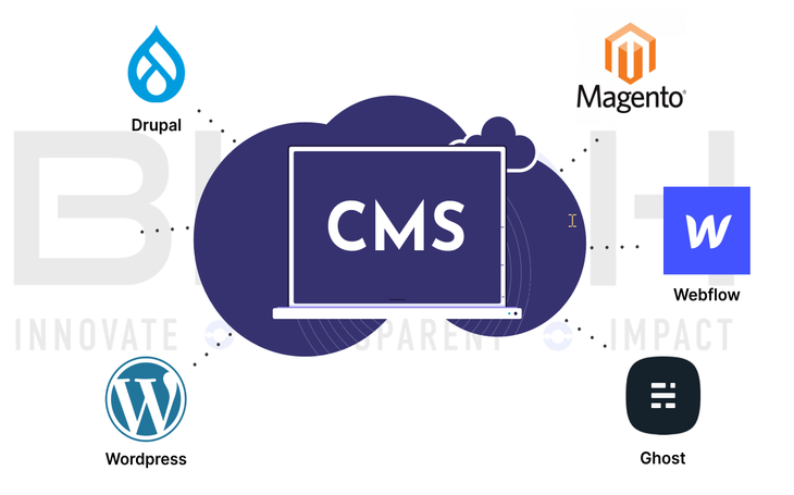 What is CMS and what are its Uses