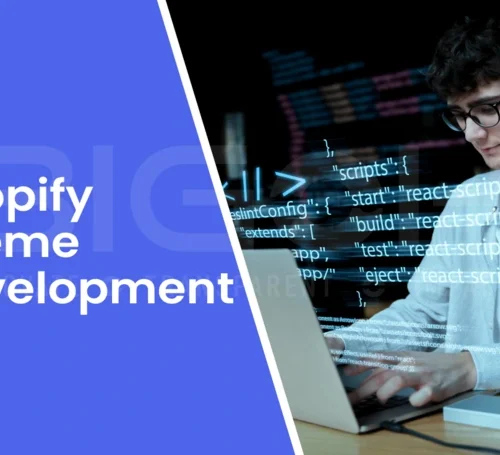 Guide to Shopify Theme development