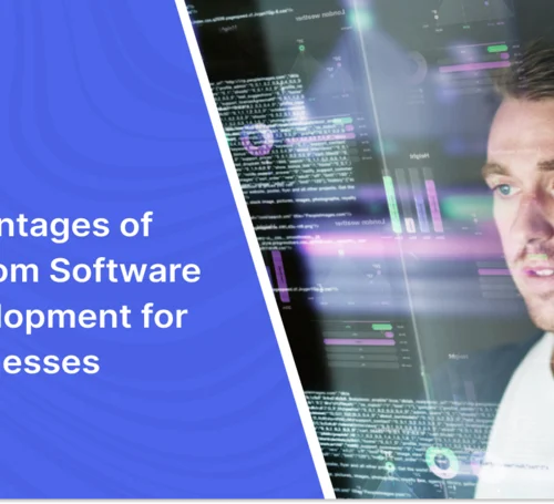 advantages of custom software development for business