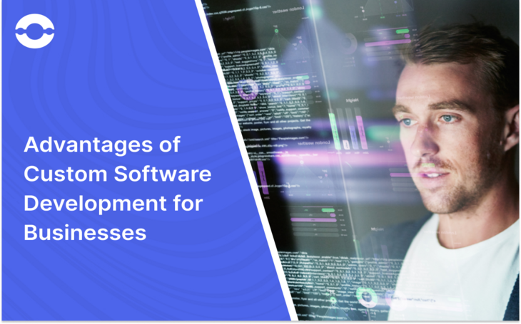 advantages of custom software development for business