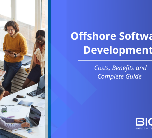 offshore software development guide