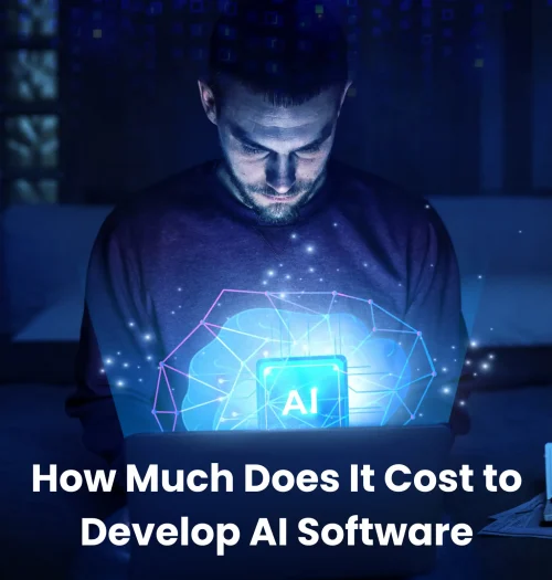 Cost to build AI software